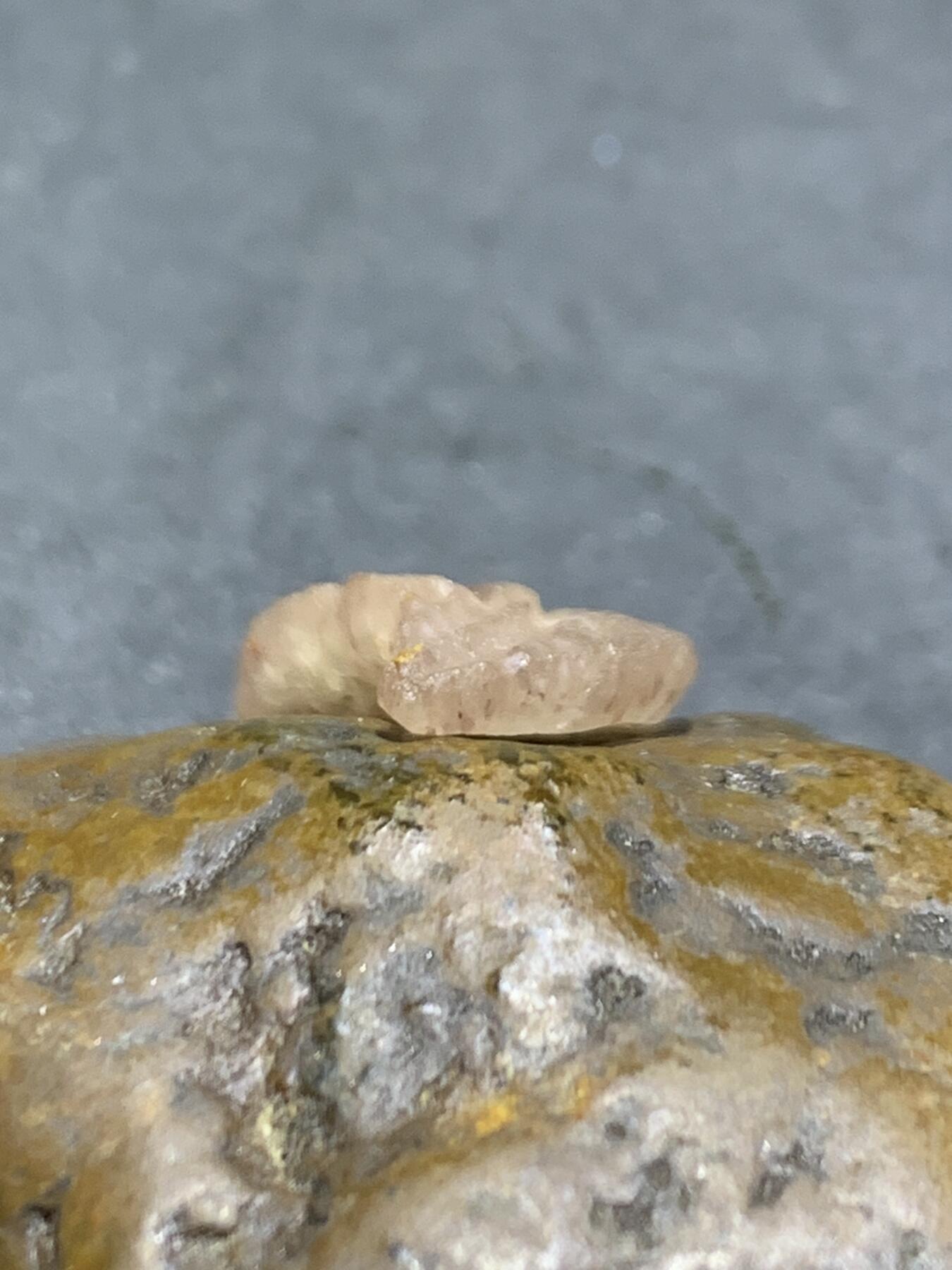 精美亚光战国红玛瑙手工雕刻树叶吊坠（卡子)一个