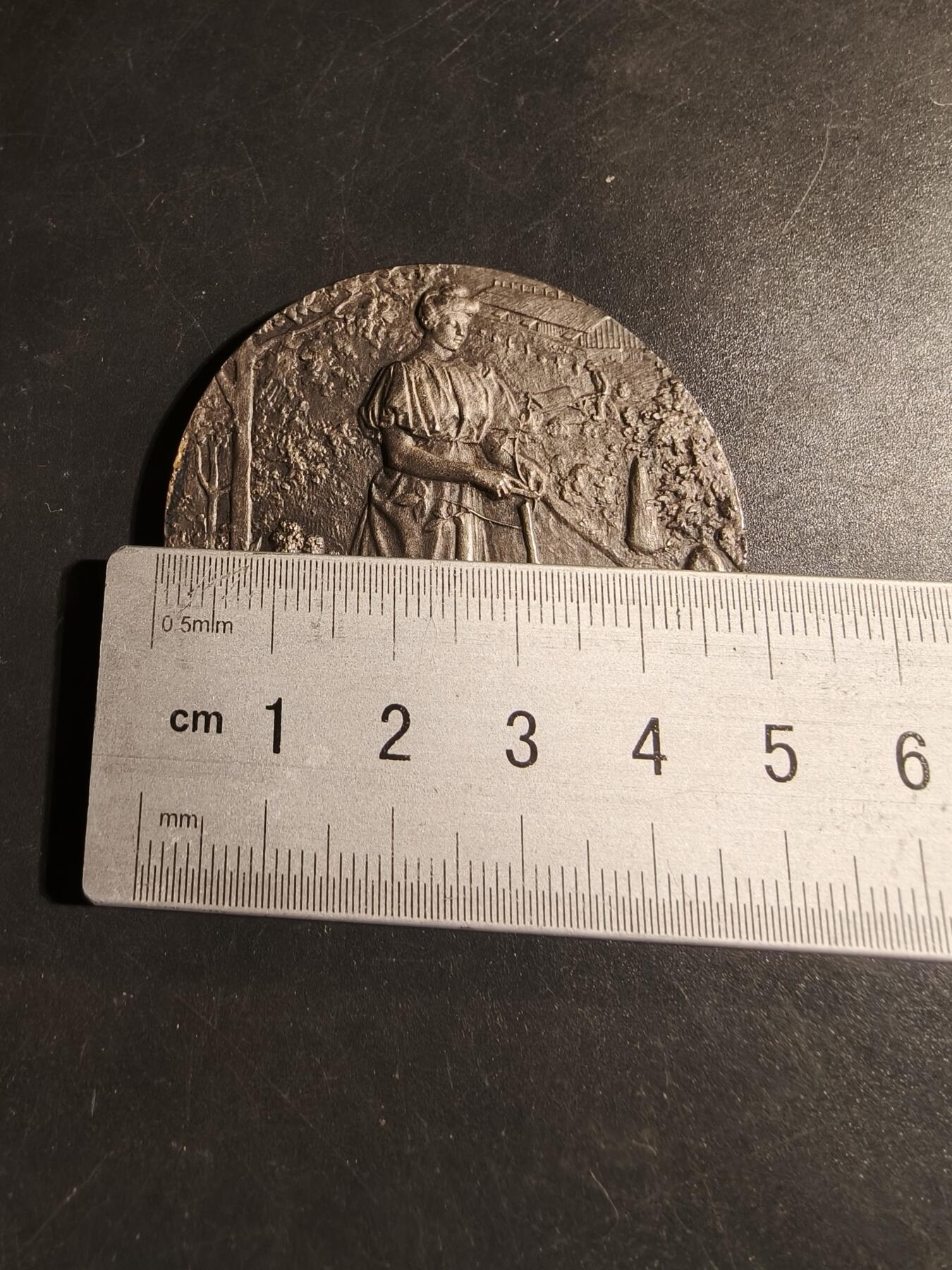 老王徽章第178期 法国图尔市农业委员会镀银大铜章     原盒    大师里维特作品     直径50mm     重量58.4g