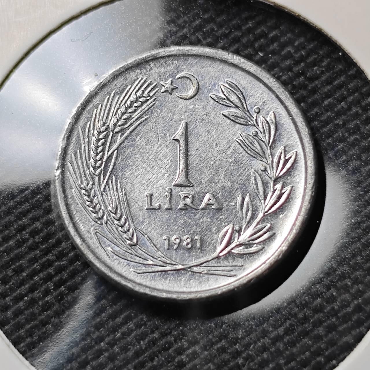 KK钱币收藏小铺  第388期  2月预留时间 周末发货