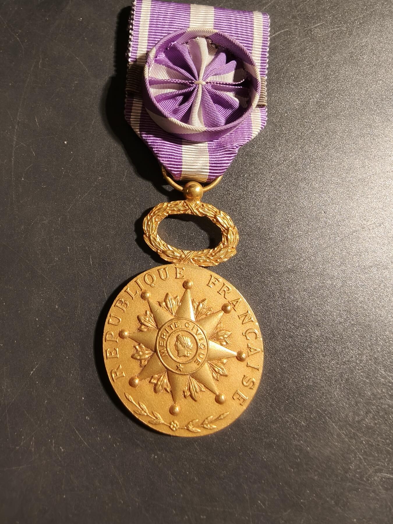 老王徽章第178期 法国金级军官级社会慈善援助联盟奖章