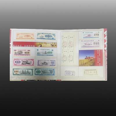 贺春启航--林泉 - “丰衣足食”粮票珍藏册