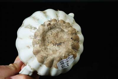 上海都达杂项专场三十四【年后发货全场包邮】   影青釉开片茶壶86-241