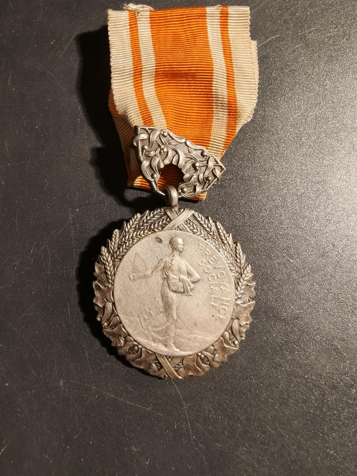 老王徽章第178期 法国银级卫生、援助和社会福利部荣誉奖章    实发版