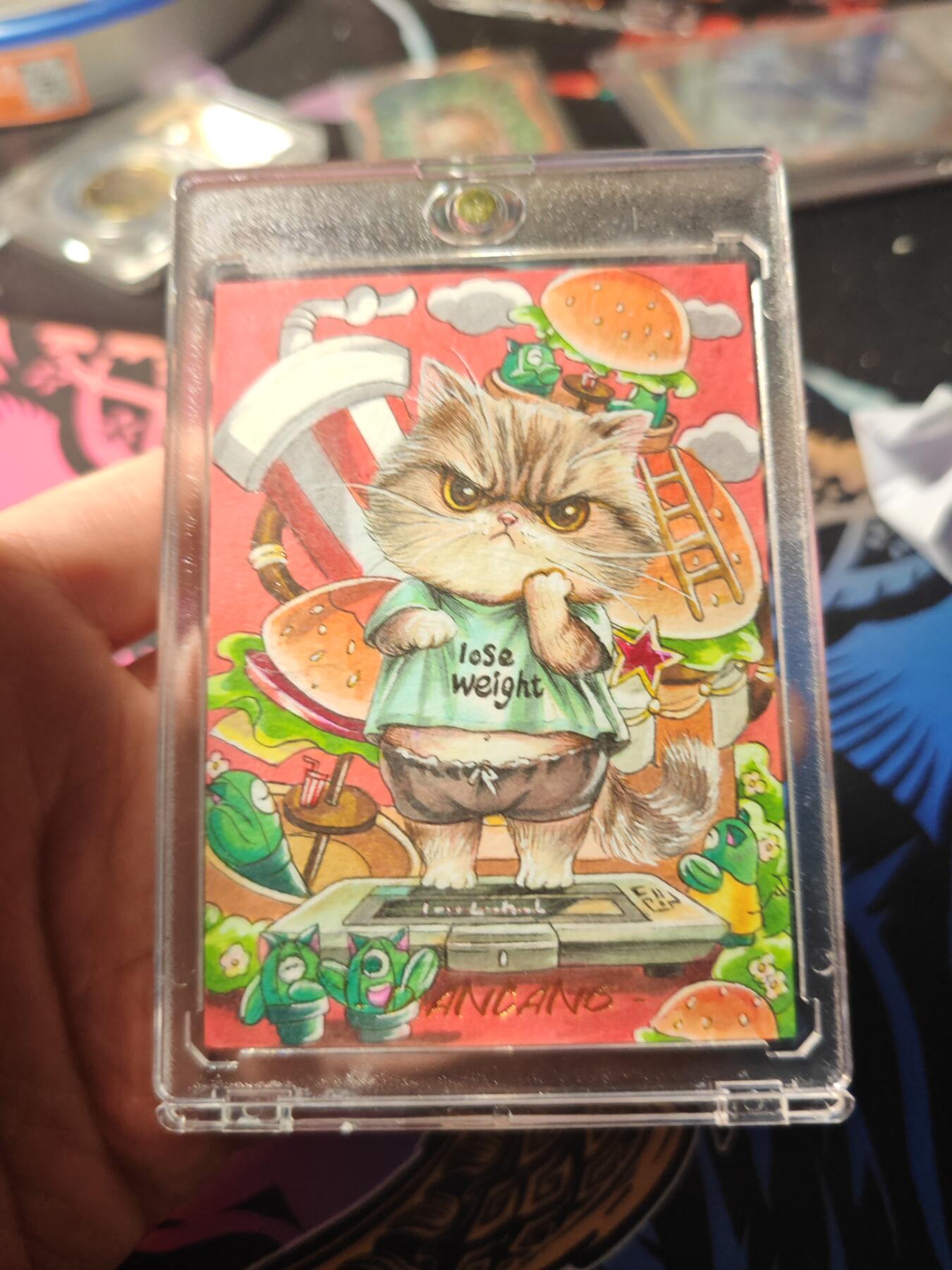 卡牌实验室开始第十二次实验 【星辰】【手绘】小猫