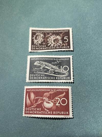 盛世勋华——号角文化勋章邮票专场拍卖第300期 - 东德邮政1957年发行 3全新票 自然保护周