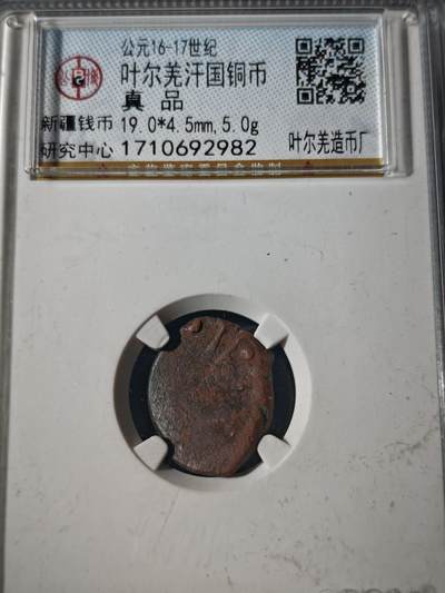 109期新疆红钱粟特钱币丝路钱币专场 - 叶尔羌汗国铜币