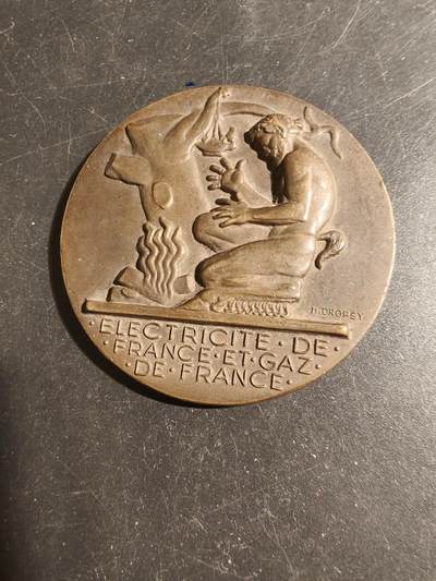 老王徽章第178期 - 法国电气公司大铜章   大师Dropsy作品    直径54mm    重量73.9g