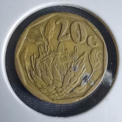 沼泽如烟--第969场 - 南非1994年20分