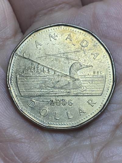 2026年第十二场(总第一百八十一场）外国好品散币场(免佣金) - 加拿大🇨🇦2006年1元(伊丽莎白二世老年)