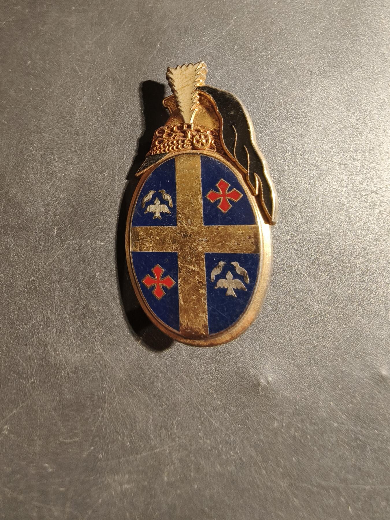 老王徽章第178期 法国陆军第10龙骑兵团(装甲师)侦察中队证章