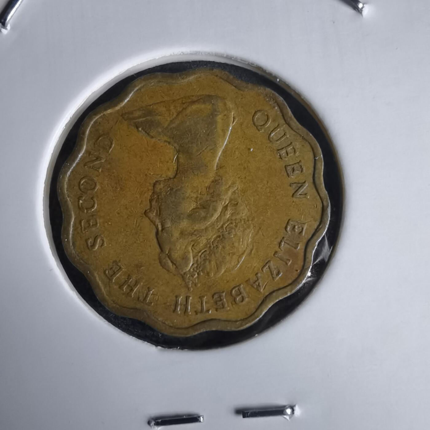 沼泽如烟--第969场