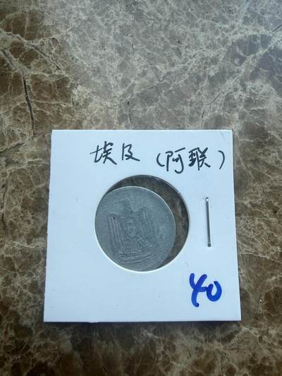 四海杂货铺第二十六场 - 埃及