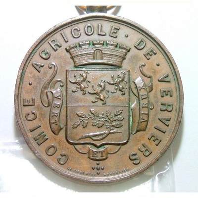 比利时1896年 韦尔维耶城市盾徽 高浮雕精制大铜章 50MM - 比利时1896年 韦尔维耶城市盾徽 高浮雕精制大铜章 50MM