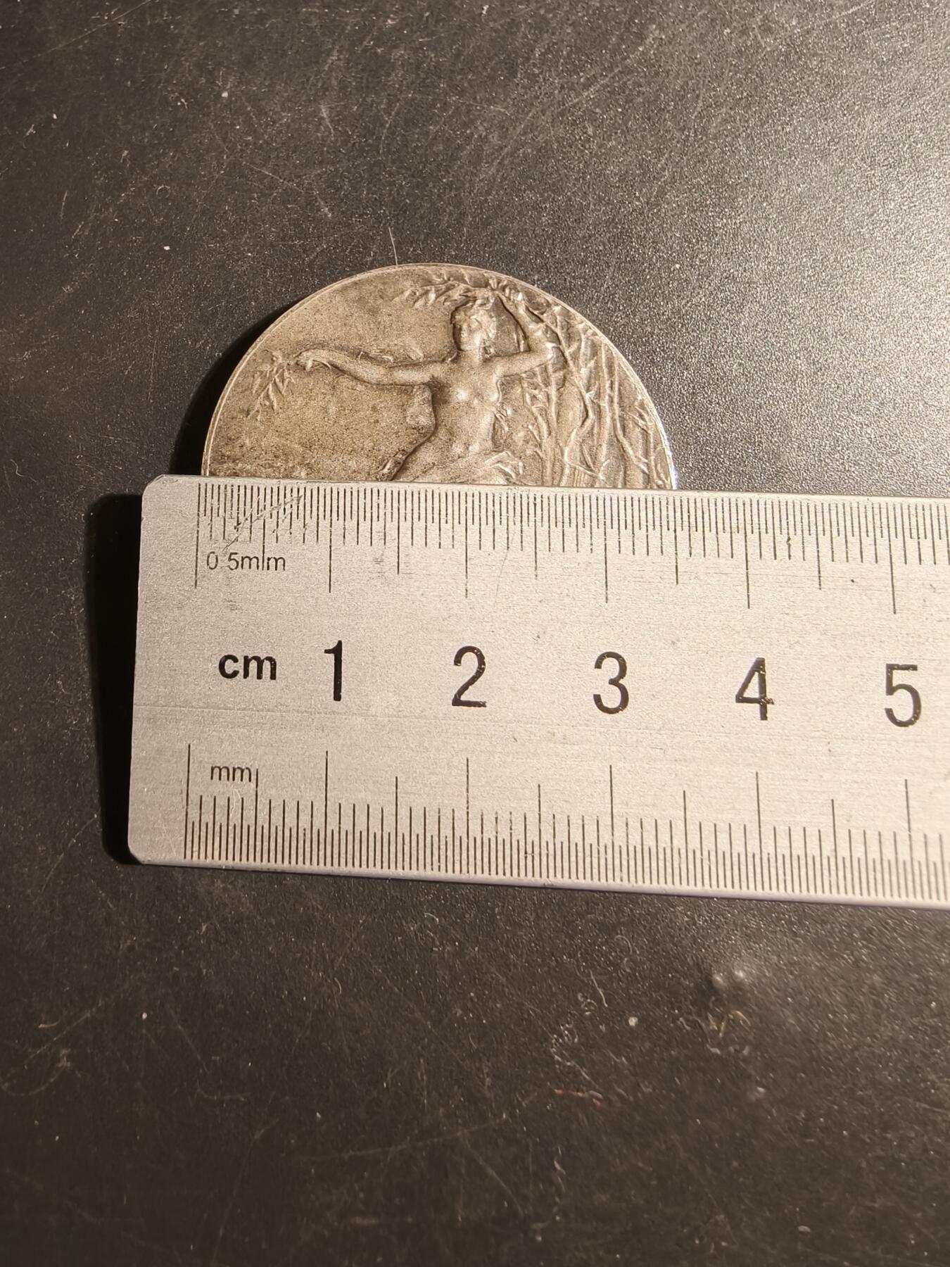 老王徽章第178期 法国夏罗勒农业协会镀银大铜章     直径36mm    重量23.7g