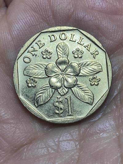 2026年第十二场(总第一百八十一场）外国好品散币场(免佣金) - 新加坡🇸🇬1989年1元(独立后第二套，高盾哭脸版)