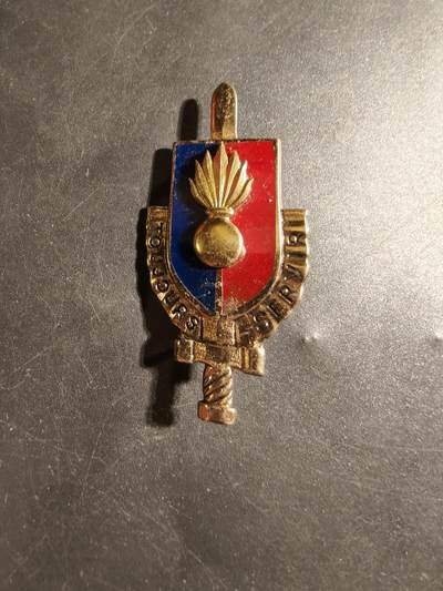 老王徽章第178期 - 法国陆军预备役士官进修学校证章