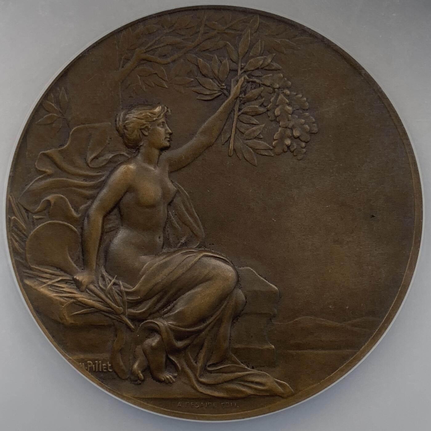 掌中浮雕-藏着的欧洲第050场 NGC MS63 : 1933年法国索邦大学女子教育协会铜章，59mm