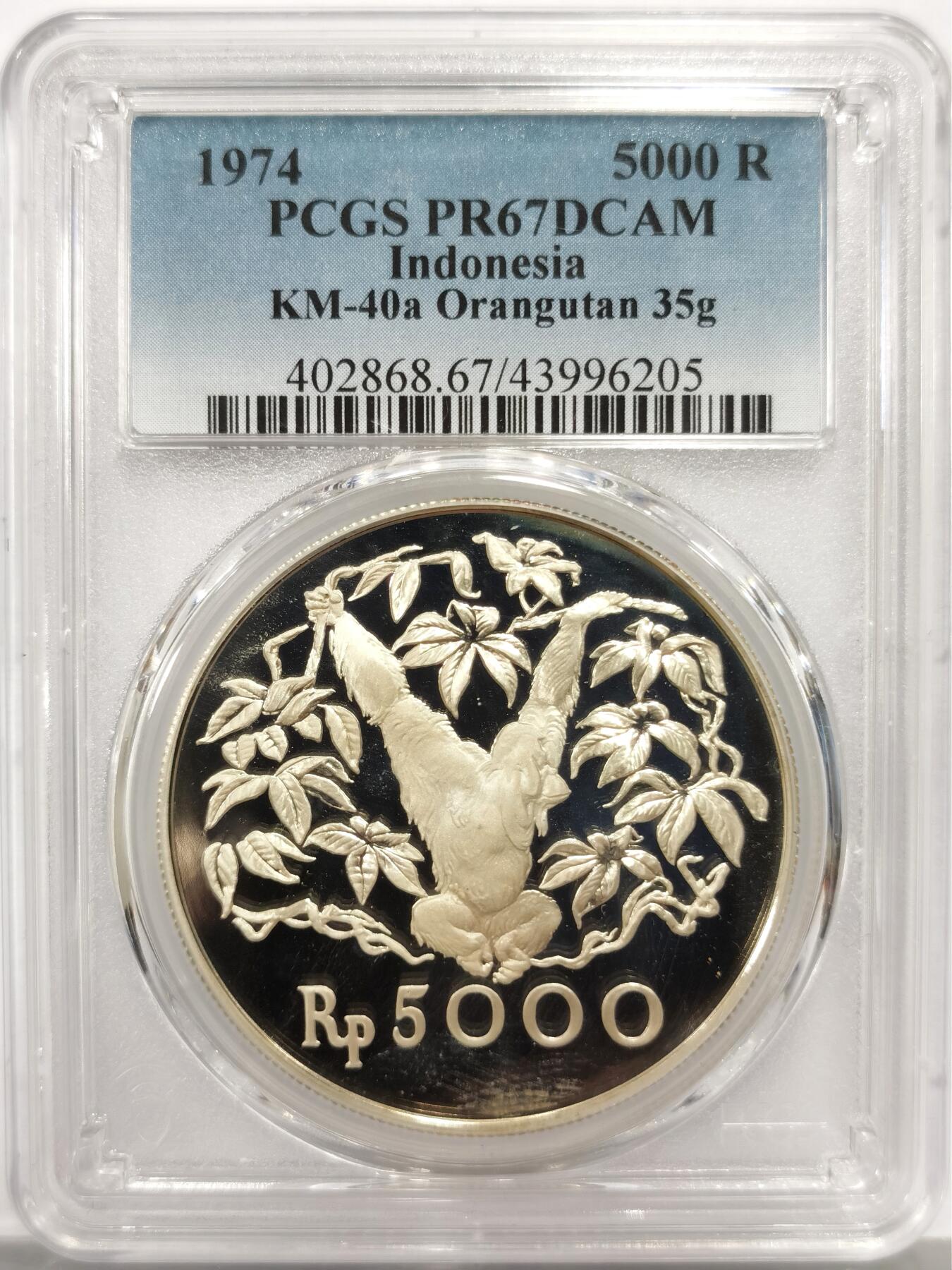 博洋堂世界钱币拍卖第158期（全场包邮） PCGS PR67DCAM 印度尼西亚1974年红毛猩猩5000卢比精制银币，直径42mm，重35g，925银，发行量17000枚。PROOF精制币，币面清爽干净又舒适，转光强烈细节优秀，状态极佳。