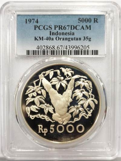 博洋堂世界钱币拍卖第158期（全场包邮） - PCGS PR67DCAM 印度尼西亚1974年红毛猩猩5000卢比精制银币，直径42mm，重35g，925银，发行量17000枚。PROOF精制币，币面清爽干净又舒适，转光强烈细节优秀，状态极佳。