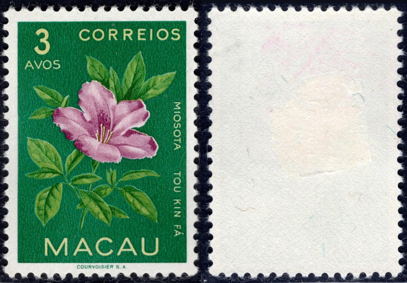 洪涛臻品批发群 精选邮票限时拍卖第1237期  1953 澳门特1 花卉 新原胶有贴