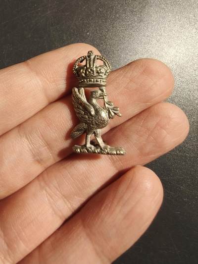 老王徽章第178期 - 英国白金汉郡皇家骠骑兵团领章    一战时期