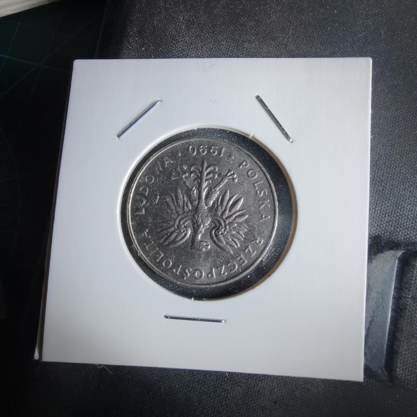 沼泽如烟--第968场