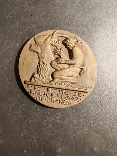 老王徽章第178期 - 法国电气公司大铜章   大师Dropsy作品    直径54mm    重量72.2g