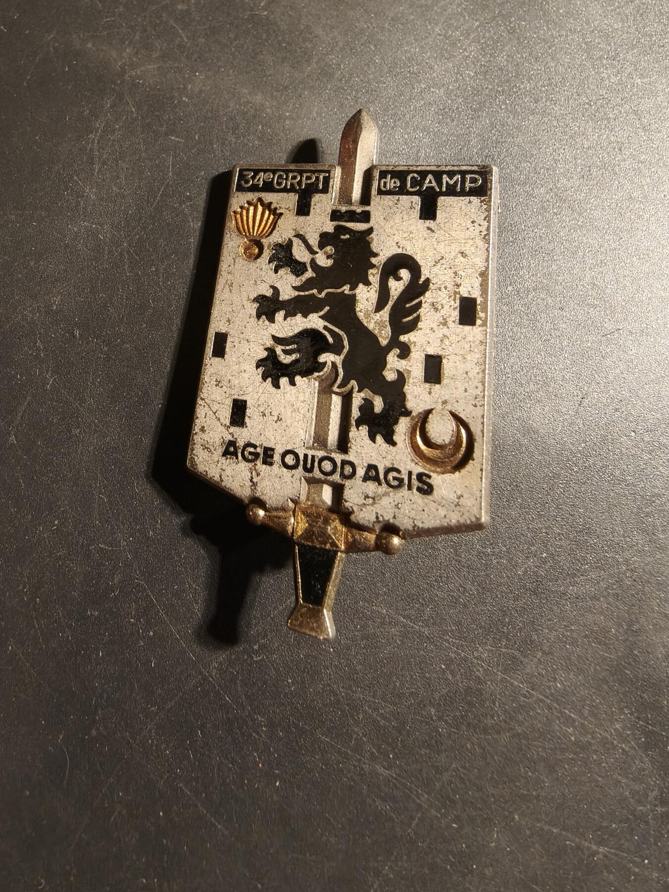 老王徽章第178期 法国第34营地连证章