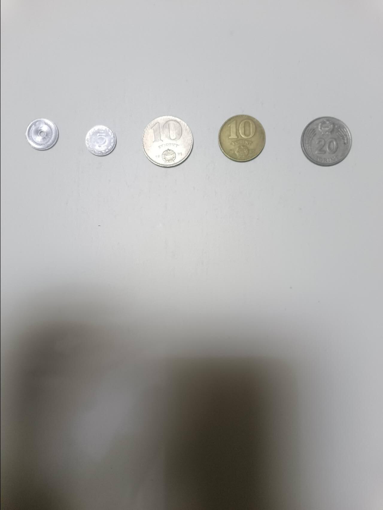 【20260122】非全新纸币和硬币第328场 匈牙利5枚硬币不同版本