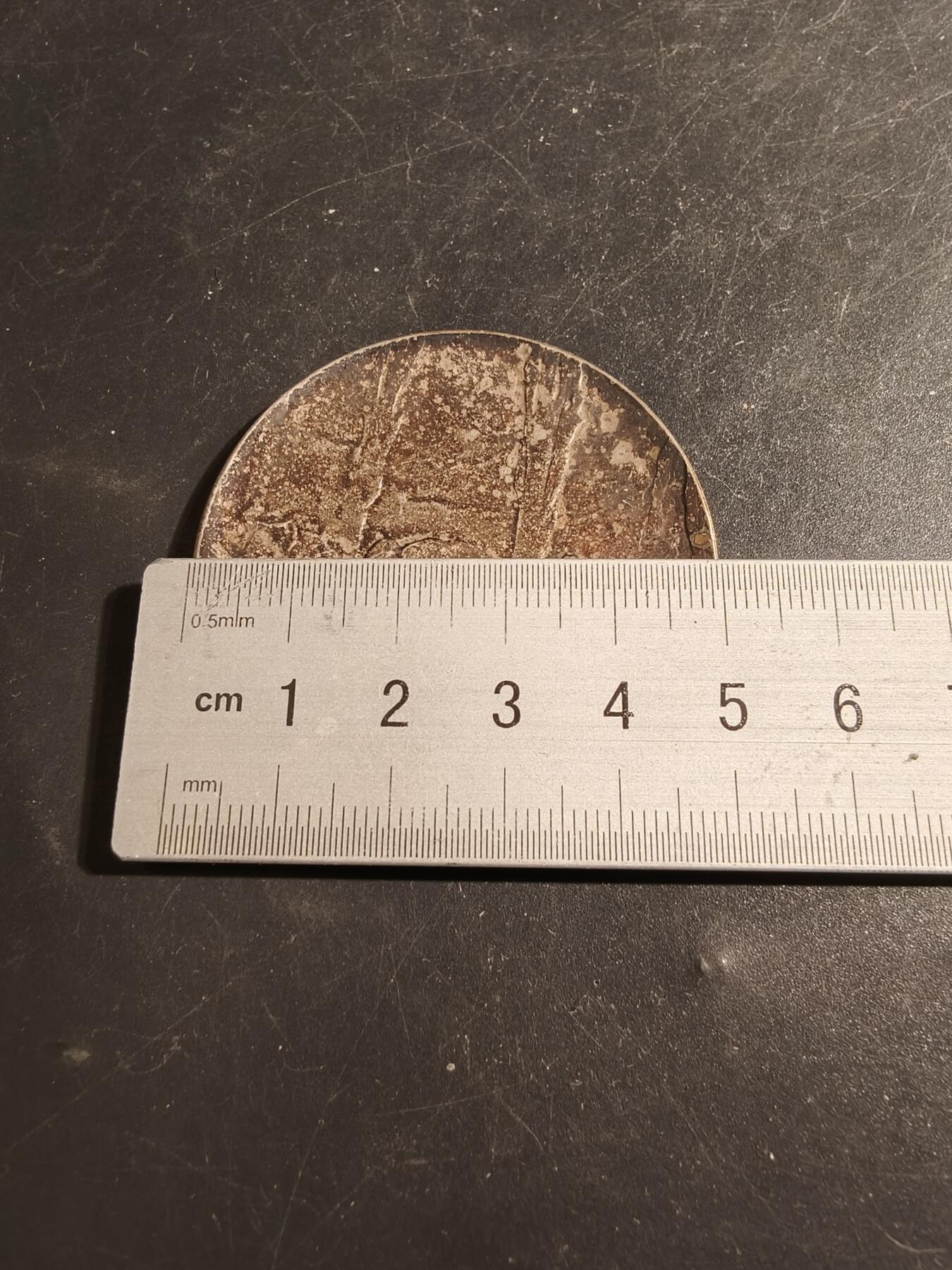 老王徽章第178期 法国自行车运动镀银大铜章     直径50mm   重量43.7g