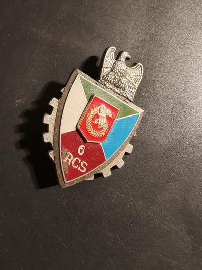 老王徽章第178期 - 法国陆军第6指挥与支援团证章