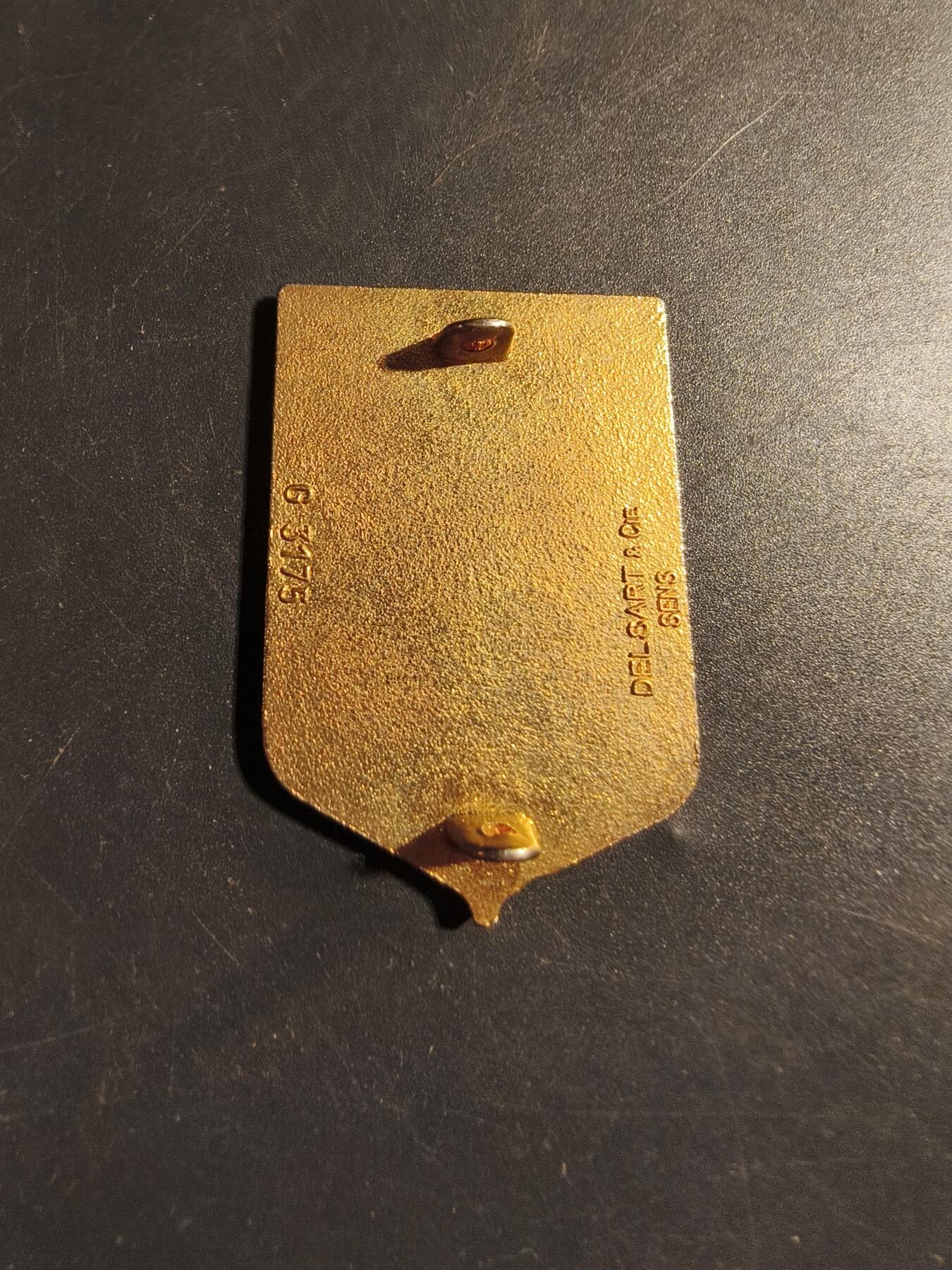 老王徽章第178期 法国陆军第62领土军事师证章