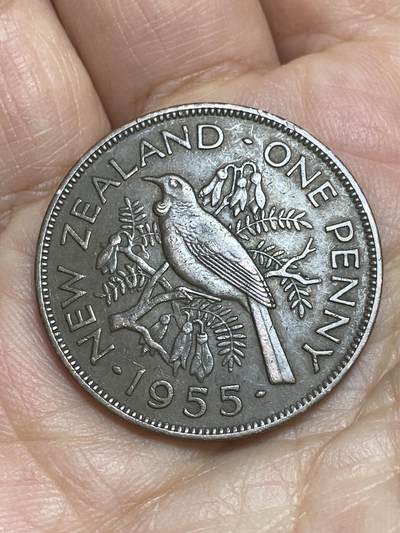 2026年第十二场(总第一百八十一场）外国好品散币场(免佣金) - 新西兰🇳🇿1955年1便士(伊丽莎白二世青年桂冠第一版，无肩带版)