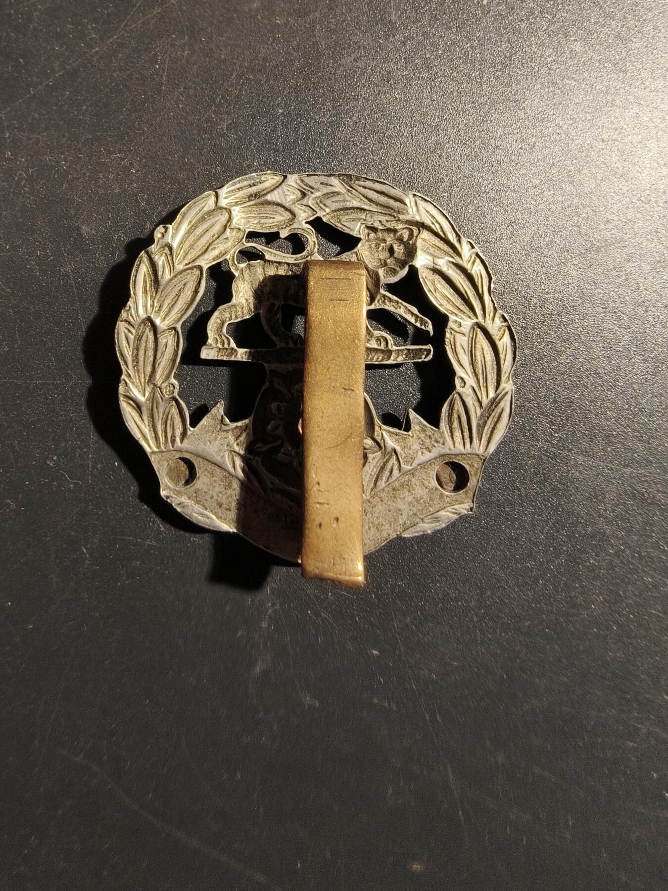 老王徽章第178期 英国汉普郡步兵团帽徽    一战时期