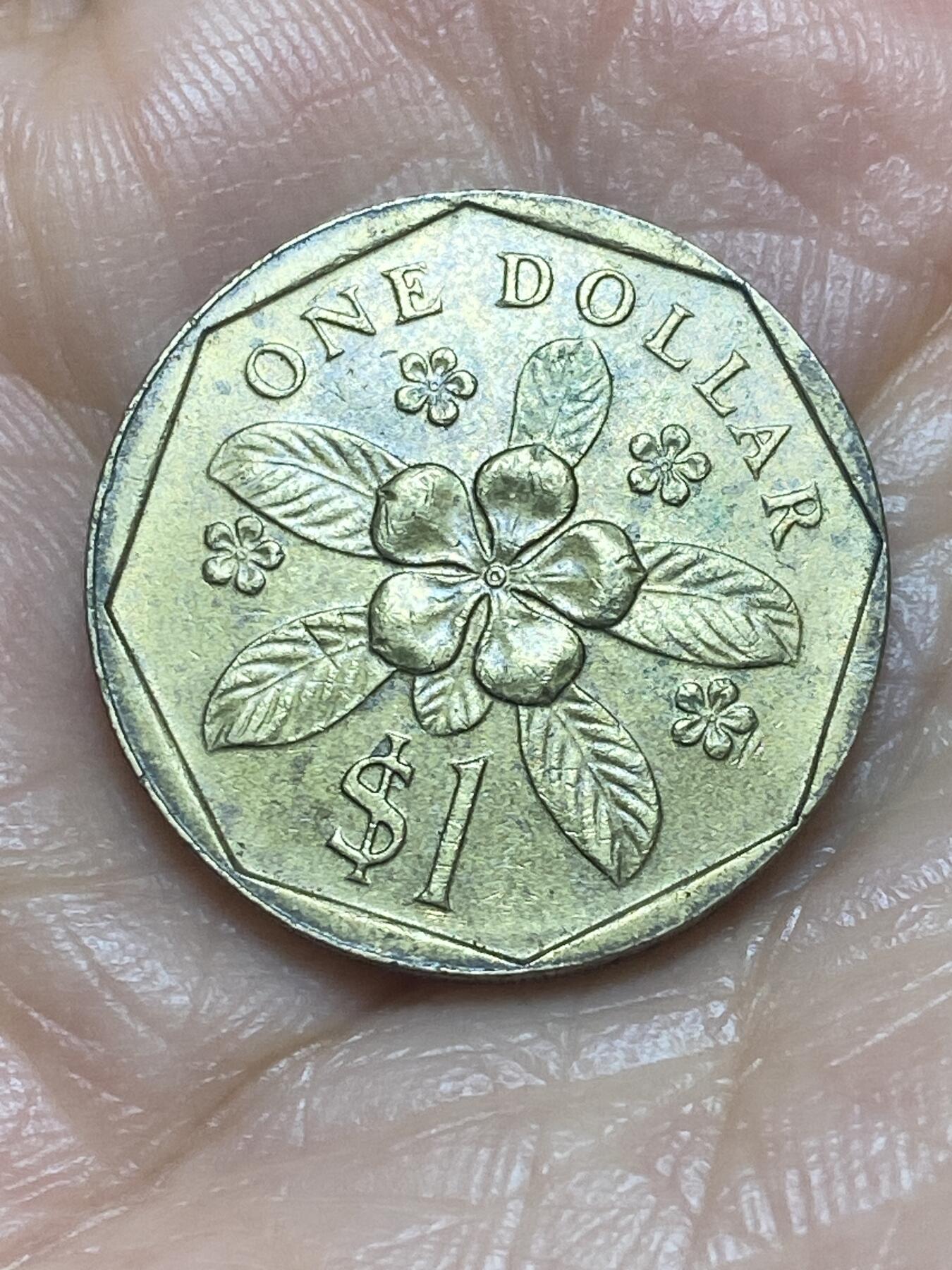 2026年第十二场(总第一百八十一场）外国好品散币场(免佣金)