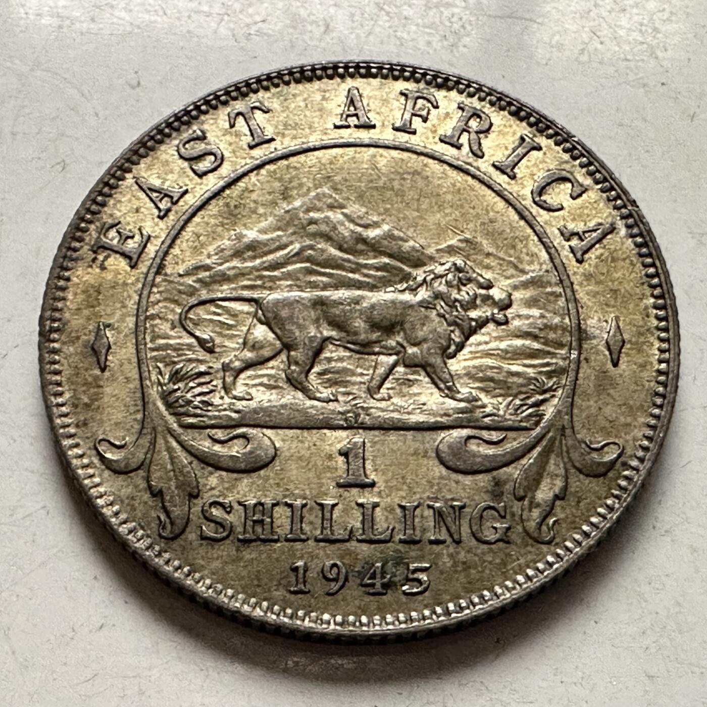 🌹外币初藏🌹🐯2026年第10场  每周二四六晚8️⃣点 接代拍