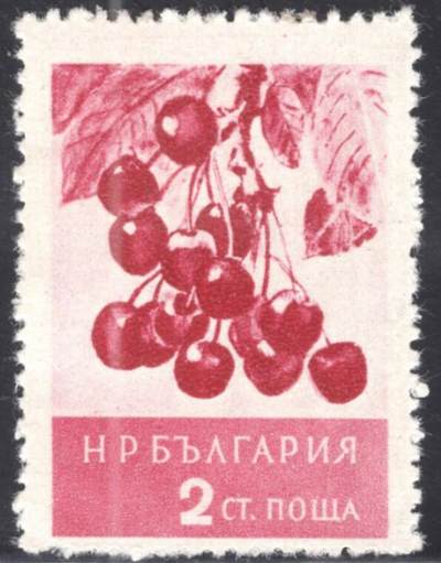 洪涛臻品批发群 精选邮票限时拍卖第1235期  - 保加利亚1956年樱桃邮票 原胶润白轻贴