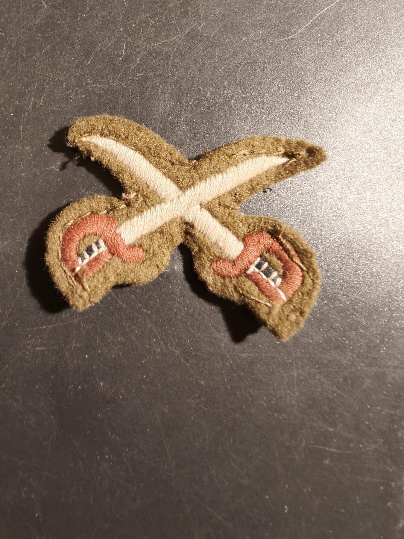 老王徽章第178期 英国陆军体能训练教官臂章