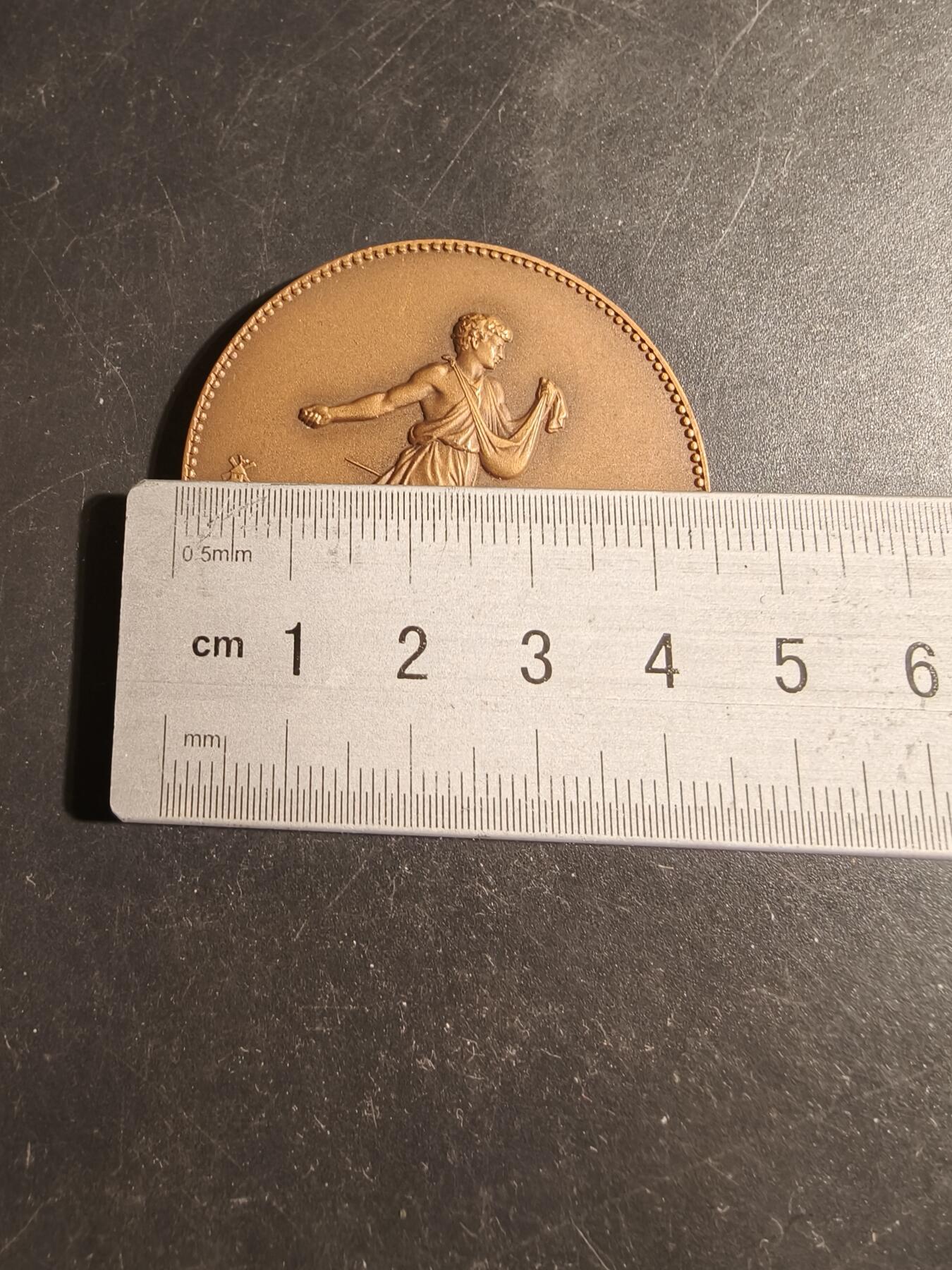 老王徽章第178期 法兰西会计学会大铜章    播种者     直径45mm    重量44g