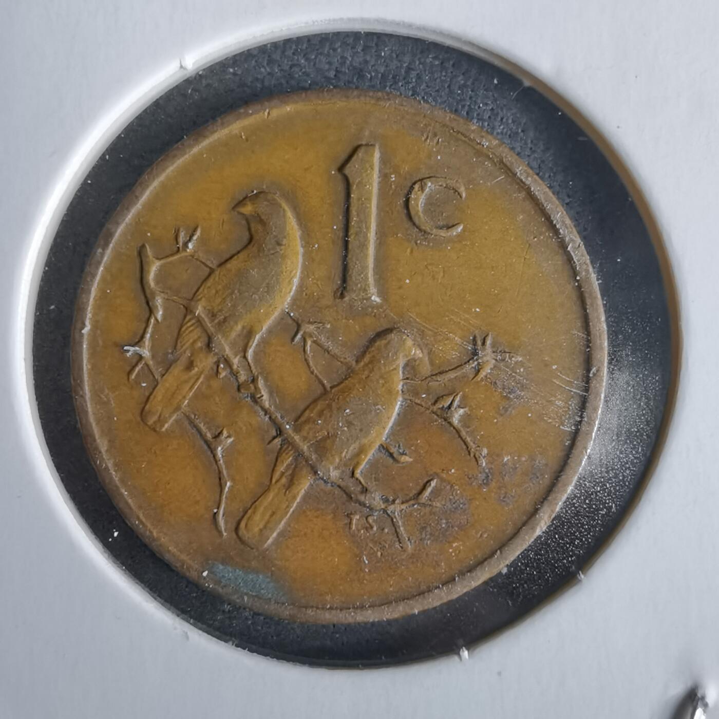 沼泽如烟--第968场 南非1975年一分