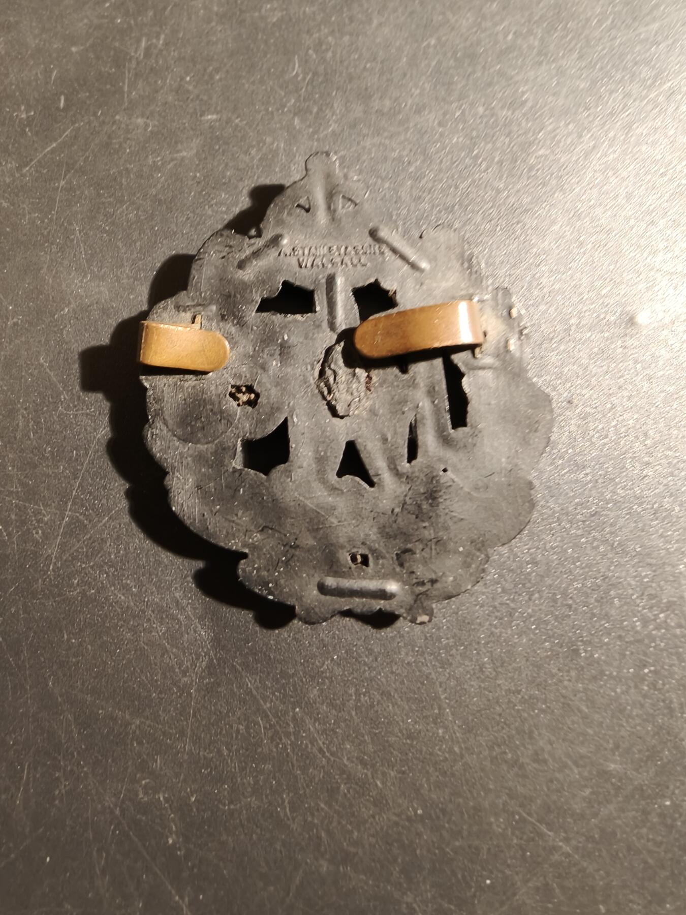 老王徽章第178期 英国皇家空军帽徽   塑料材质