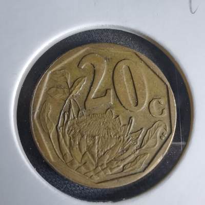 沼泽如烟--第969场 - 南非2008年20分