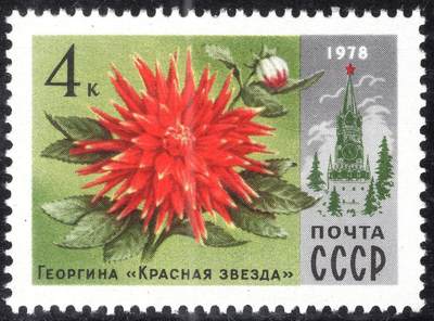 洪涛臻品批发群 精选邮票限时拍卖第1235期  - 苏联1978年 大丽花“红星”和斯帕斯基塔 原胶全品