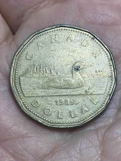 2026年第十二场(总第一百八十一场）外国好品散币场(免佣金) - 加拿大🇨🇦1989年1元(伊丽莎白二世中年花冠，浅浮雕版)