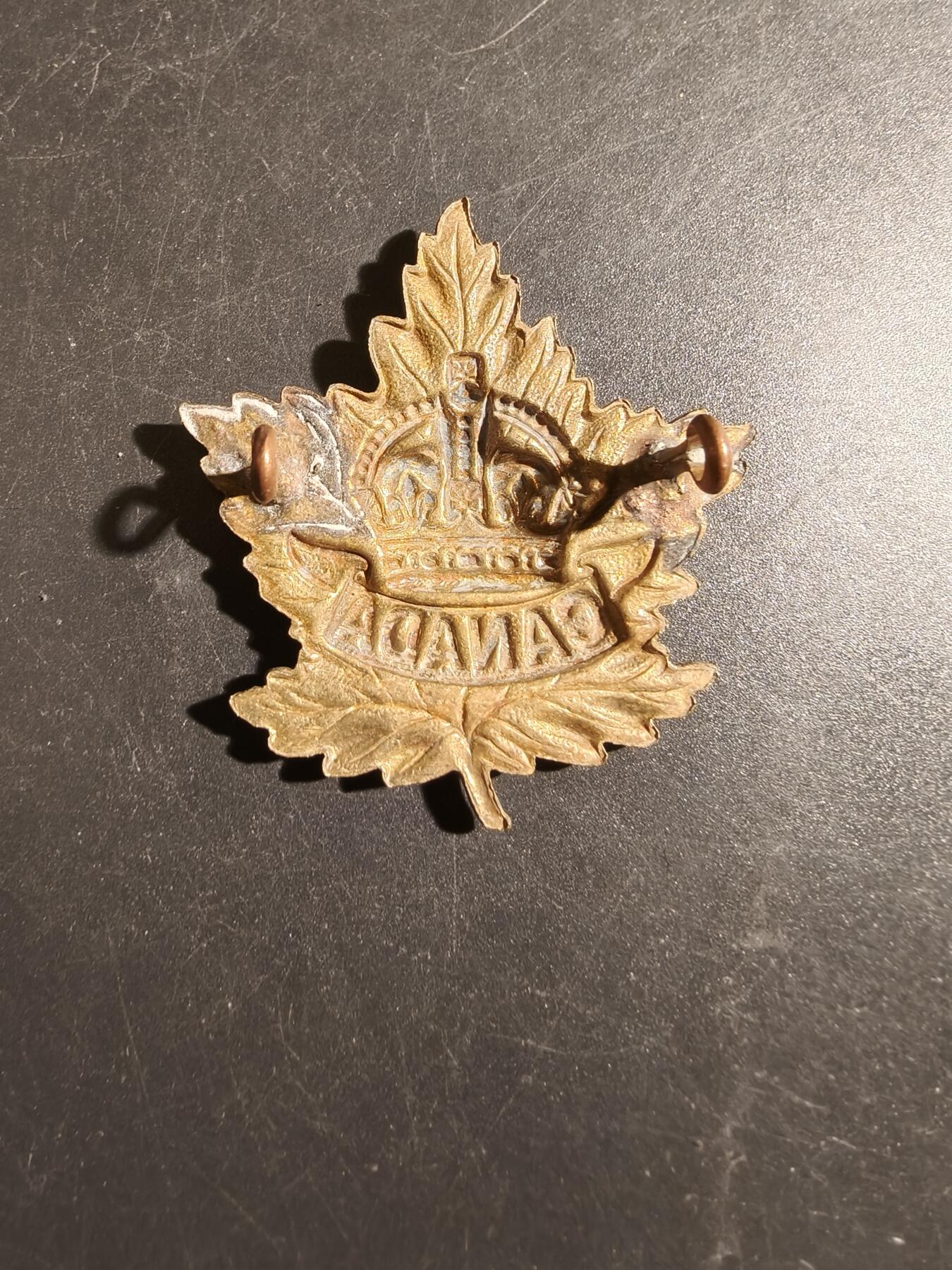 老王徽章第178期 英联邦皇家加拿大远征军帽徽    一战时期