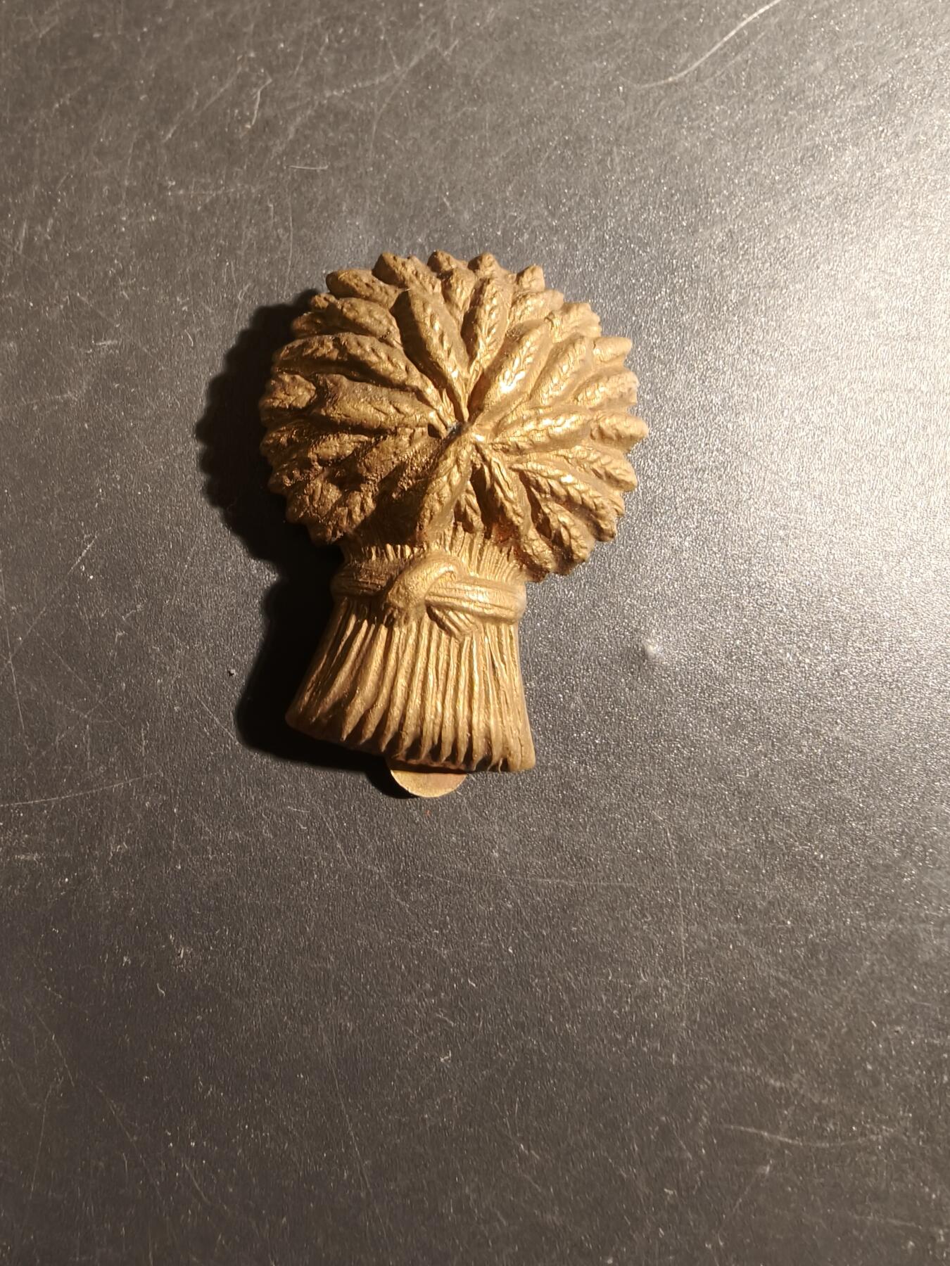 老王徽章第178期 英国洛锡安与边境义勇骑兵团帽徽    一战时期