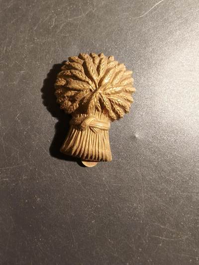 老王徽章第178期 - 英国洛锡安与边境义勇骑兵团帽徽    一战时期