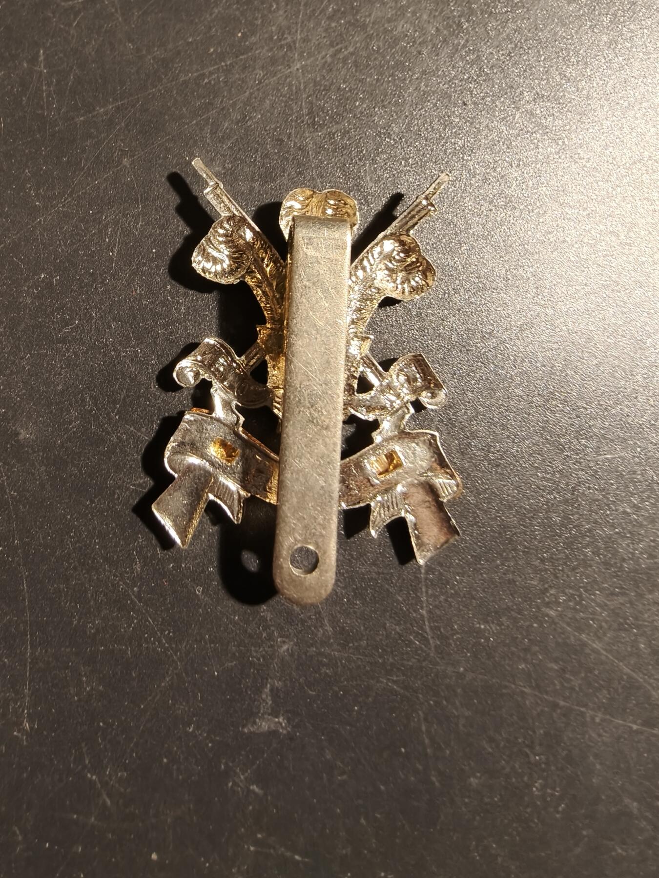 老王徽章第178期