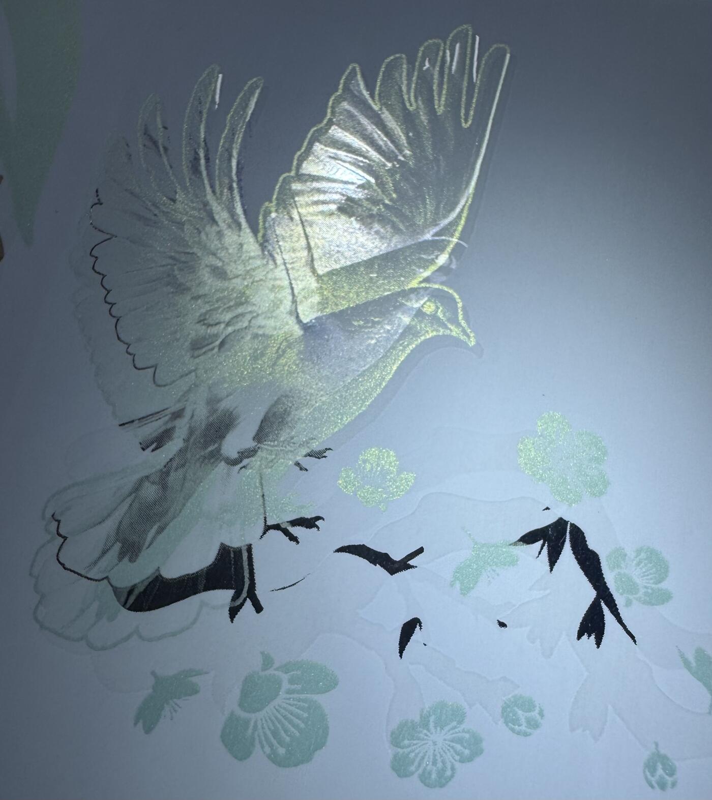 2026第2场（总第229期）：精品测试钞、连体钞综合场 越南Q&T 最新PolySecure®Shield内置安全特征塑料基材测试钞册装UNC（胡志明、鸽子、梅花）