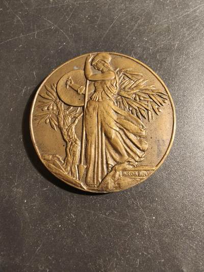 老王徽章第178期 - 法国剑盾女神大铜章    大师科尔宾作品    直径50mm    重量63.6g